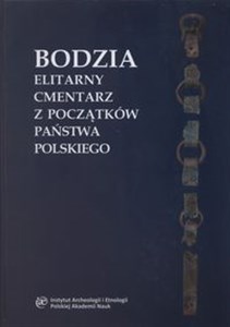 Obrazek Bodzia Elitarny cmentarz z początków państwa polskiego