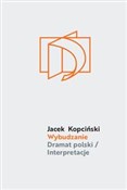 Polska książka : Wybudzanie... - Jacek Kopciński