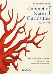Bild von Seba. Cabinet of Natural Curiosities. 40th Ed.
