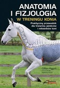 Anatomia i... - Gillian Higgins -  polnische Bücher