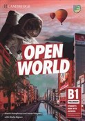 Open World... - Niamh Humphreys, Susan Kingsley, Sheila Dignen - buch auf polnisch 