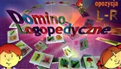 Domino log... -  polnische Bücher