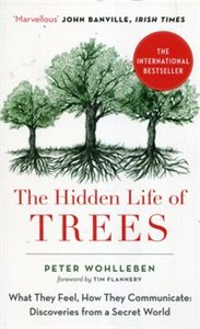 Bild von The Hidden Life of Trees