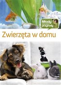 Zwierzęta ... - Izabela Brańska-Oleksy - buch auf polnisch 