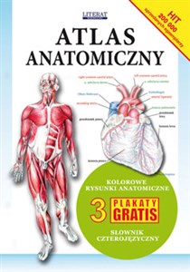Bild von Atlas anatomiczny 3 plakaty gratis