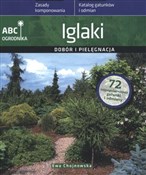 Iglaki Dob... - Ewa Chojnowska -  polnische Bücher