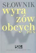 Słownik wy... - Lidia Wiśniakowska -  Książka z wysyłką do Niemiec 
