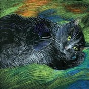 Polnische buch : Notes. Kot...