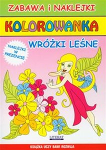 Bild von Wróżki leśne Kolorowanka Zabawa i naklejki