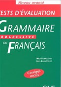 Grammaire ... - Michele Boulares, Jean-Louis Frerot -  polnische Bücher