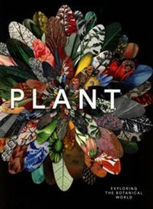 Bild von Plant Exploring the Botanical World