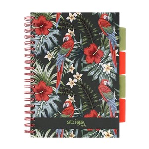 Bild von Kołozeszyt Strigo Pads Project Book B5 kratka Tropiki - Papuga