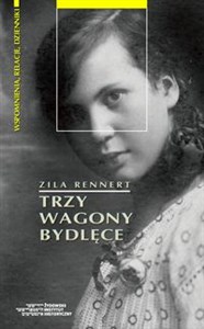 Obrazek Trzy wagony bydlęce Od pierwszej do drugiej wojny światowej - podróż przez Europę Środkową lat 1914−1946