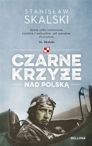 Obrazek Czarne krzyże nad Polską (wydanie pocketowe)