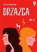 Książka : Drzazga. S... - Ewa Nowak