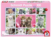 Polnische buch : Puzzle 100...