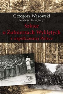 Obrazek Szkice o Żołnierzach Wyklętych i współczesnej Polsce