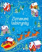 Polska książka : Zimowe lab... - Sam Smith