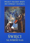 Książka : Święci są ... - o. Gabriel Bartoszewski OFM Cap (oprac.)