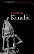 Kanalia - Paweł Pollak -  polnische Bücher