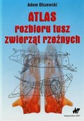 Polnische buch : Atlas rozb... - Adam Olszewski