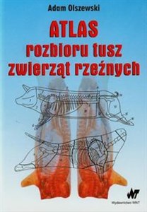 Obrazek Atlas rozbioru tusz zwierząt rzeźnych