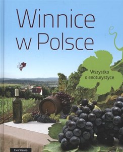 Obrazek Winnice w Polsce Wszystko o enoturystyce