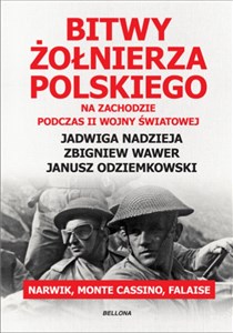 Obrazek Bitwy żołnierza polskiego na Zachodzie podczas II wojny światowej Narwik, Monte Cassino, Falaise