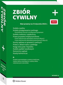 Obrazek Kodeks cywilny. Kodeks postępowania cywilnego. Dochodzenie roszczeń w postępowaniu grupowym. Kodeks rodzinny i opiekuńczy. Prawo prywatne międzynarodo