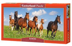 Obrazek Puzzle Paso Fino Herd 4000