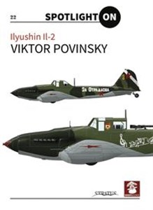 Obrazek Ilyushin Il-2: 22 Spotlight On