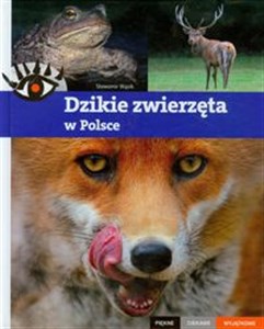 Obrazek Dzikie zwierzęta w Polsce Piękne ciekawe wyjątkowe