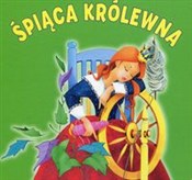 Polska książka : Śpiąca Kró... - Anna i Lech Stefaniakowie (ilustr.)