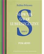 Polnische buch : Słownik gw... - Halina Pelcowa