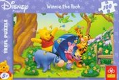 Polska książka : Puzzle 100...