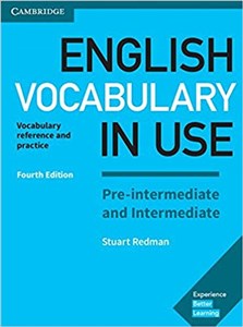 Bild von English Vocabulary in Use Pre-intermediate and Intermediate