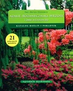 Obrazek Azalie różaneczniki wrzosy i inne wrzosowate Katalog roślin i poradnik