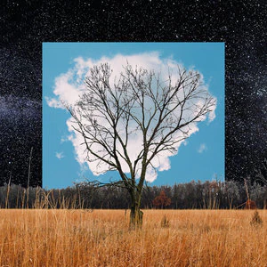 Bild von Bloom Innocent (Digipack)