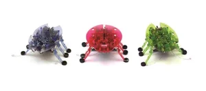 Obrazek Hexbug Żuczek mix