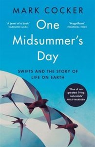 Bild von One Midsummer's Day