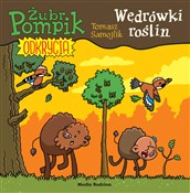 Zobacz : Żubr Pompi... - Tomasz Samojlik