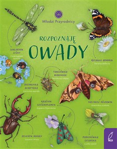 Obrazek Młodzi przyrodnicy Rozpoznaję owady