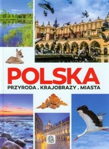 Bild von Polska Przyroda Krajobrazy Miasta