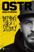 Polska książka : Brzydki zł... - Adam Ostrowski