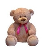 Miś Norber... -  Książka z wysyłką do Niemiec 