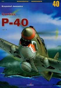 Bild von Curtiss P-40 II