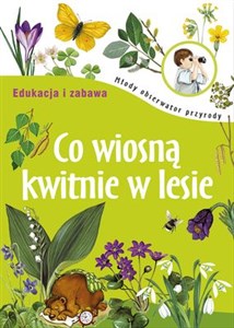 Obrazek Co wiosną kwitnie w lesie