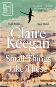 Książka : Small Thin... - Claire Keegan