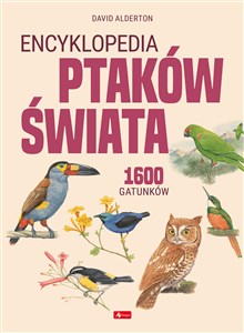 Obrazek Encyklopedia ptaków świata