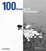 Książka : 100 Great ... - David Gibson